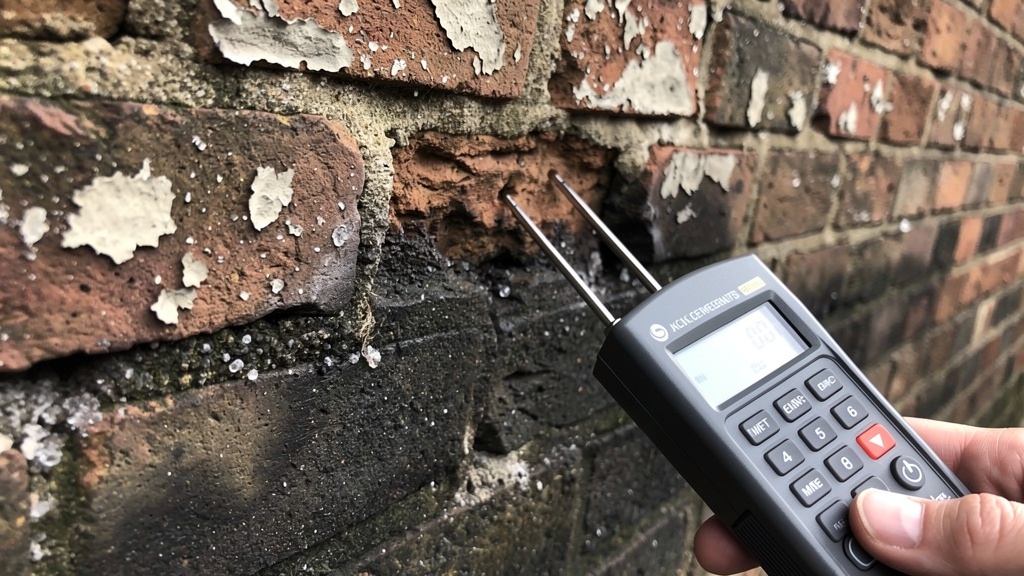 Damp survey Victorian home